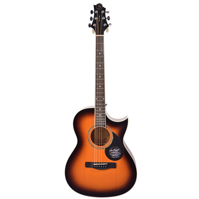 Sami-Acoustic Guitar - SAMICK GA100SCE/VS