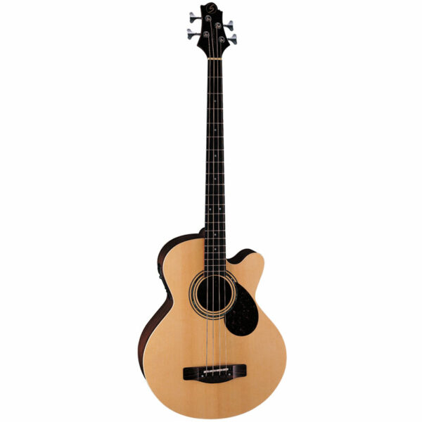 Acoustic Bass Guitar – SAMICK AB-2 N