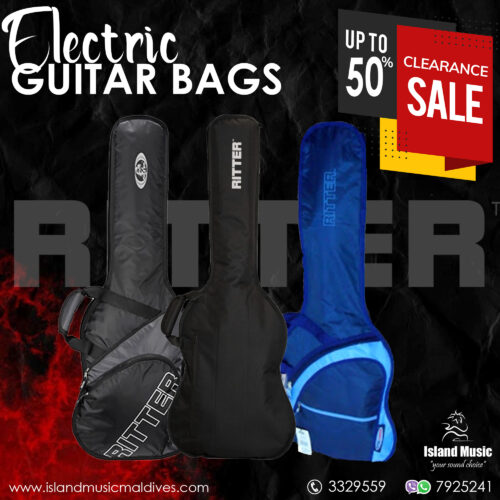 guitar BAGS2